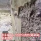 漯河混凝土防碳化涂料多少錢一噸