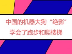 中國的機器大狗“絕影”學會了跑步和爬樓梯
