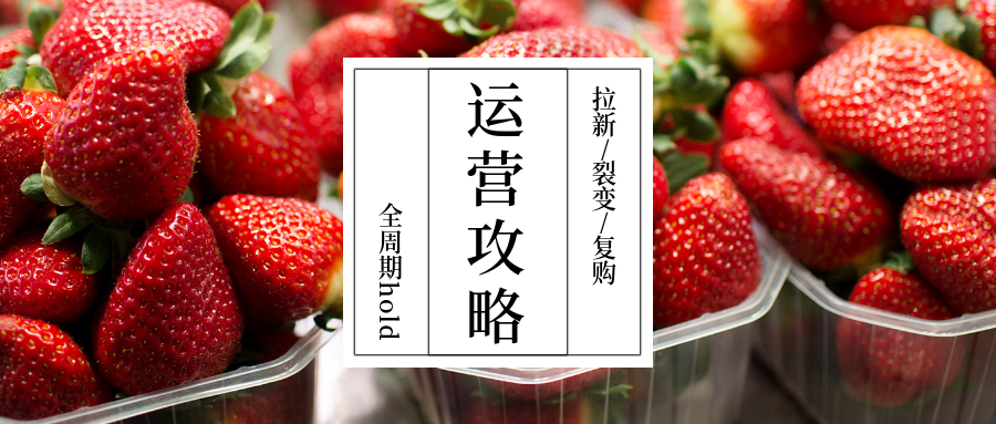 力譜云解析-如何盤(pán)活水果店?拉新,、裂變,、復(fù)購(gòu)全周期App運(yùn)營(yíng)攻略 力譜云解析-如何盤(pán)活水果店?拉新,、裂變,、復(fù)購(gòu)全周期App運(yùn)營(yíng)攻略