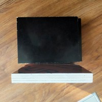 建筑模板廠家 木模板供應(yīng)