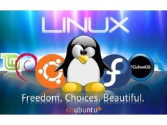 11款最棒的Linux數(shù)據(jù)恢復(fù)工具發(fā)布啦！