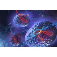 中美試管嬰兒對(duì)比,，HRC揭秘四方面差距