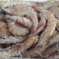 青島進(jìn)口凍蝦的操作流程