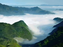 探秘“國優(yōu)敘府”：四川地道濃香的醇香密碼