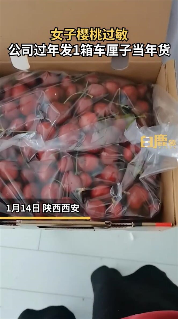 女子櫻桃過敏公司年貨發(fā)1箱車?yán)遄樱罕緛砗芷诖镜倪^年禮物