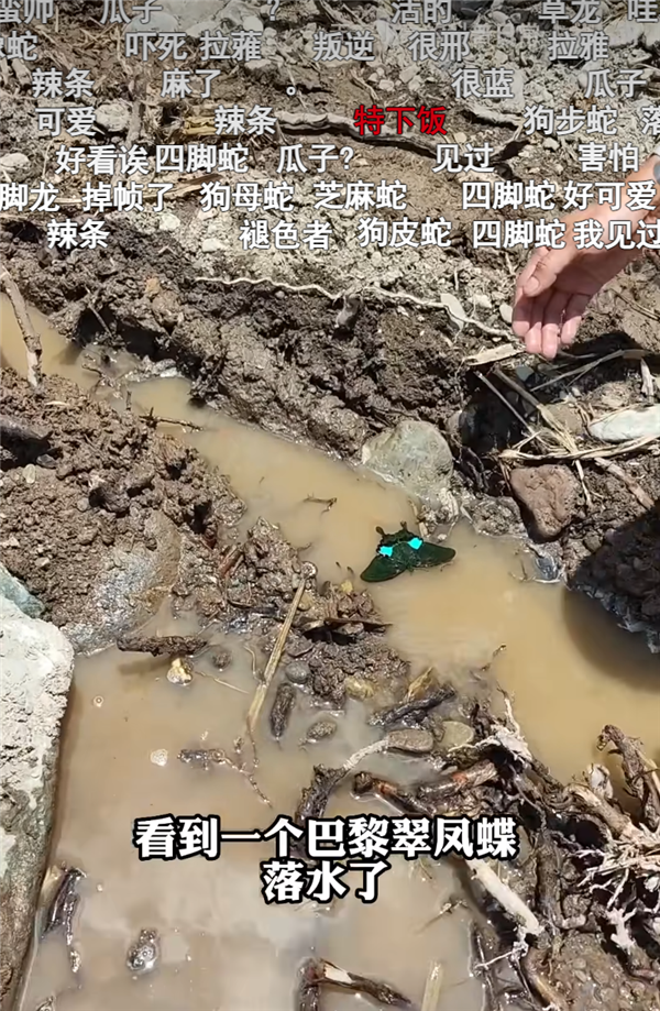 B站百大UP主名單出來后 為什么有人不同意？