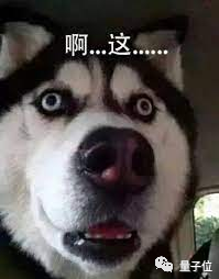俄版百度44.7G源碼泄露！原因驚呆眾人：前員工干的