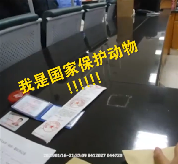 男子醉駕被查不服 辯稱(chēng)：我是國(guó)家保護(hù)動(dòng)物