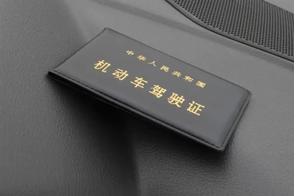 外籍男子用中文考科目一得滿(mǎn)分：備考時(shí)邊查字典邊做題