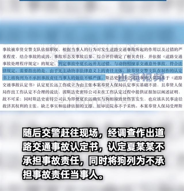 女子下班途中被狗撞傷被判工傷 法院：非本人主要責(zé)任