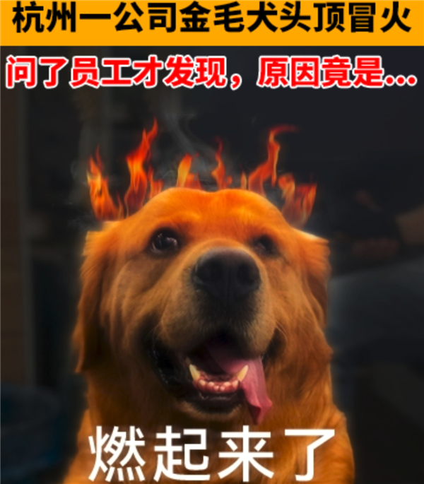 算法正在謀殺新聞 十億中國(guó)網(wǎng)友卻為此狂歡