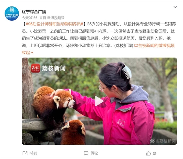 95后設(shè)計師辭職當動物飼養(yǎng)員：上班以后非常開心