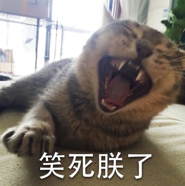 給全世界每個(gè)人發(fā)錢(qián) OpenAI創(chuàng)始人這么飄了？
