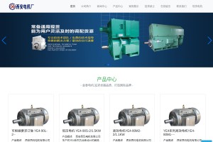 高壓防爆電機(jī)