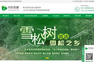雪松價(jià)格