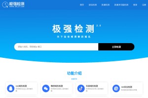 極強域名檢測